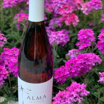 Alma Wine Rose 2022 75cl