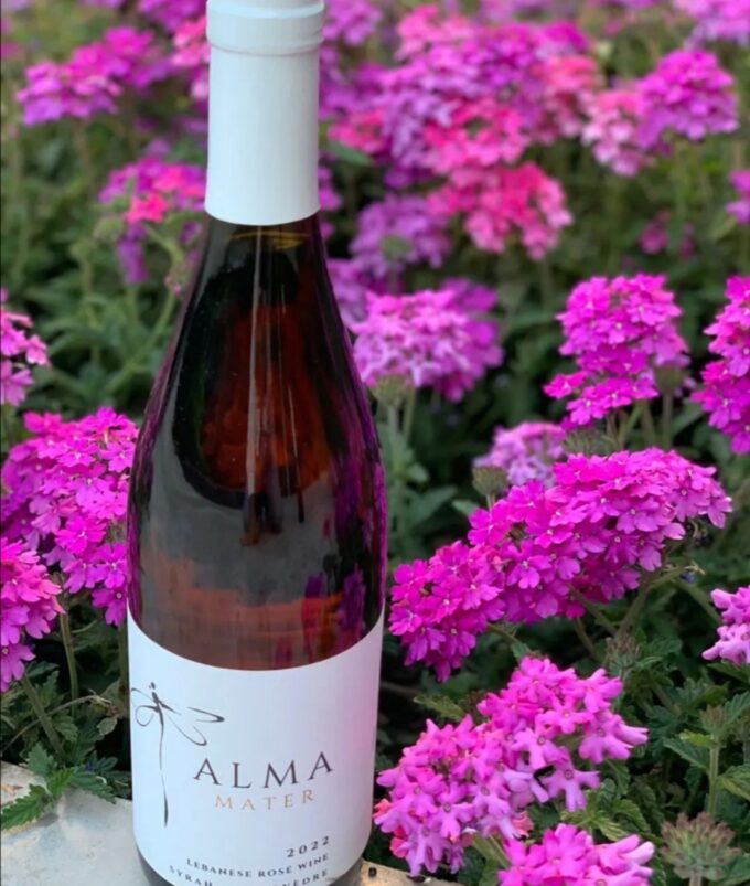 Alma Wine Rose 2022 75cl